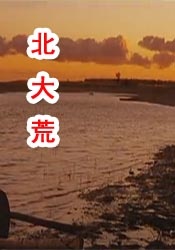 一级一片一a一片